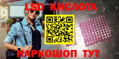 стаф Кандалакша