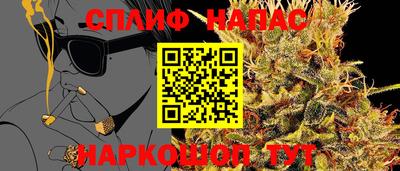 стаф Кандалакша