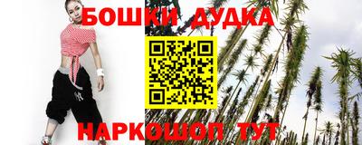 стаф Кандалакша