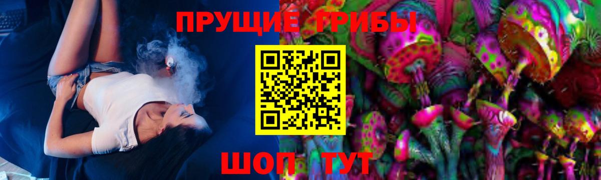 Псилоцибиновые грибы Psilocybine cubensis  Вход с VPN  Кемерово 